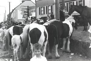 Travellers' horses at Cahirmee Horse Fair, Co Cork.