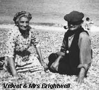 Courtesy Jumbo Brightwell